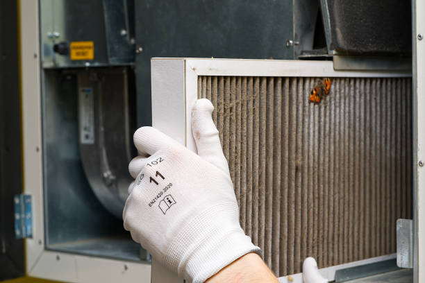 Best Affordable HVAC Duct Cleaning  in Pine Knot, KY
