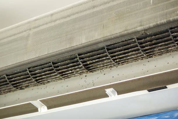 Best Air Duct Cleaning Near Me  in Pine Knot, KY